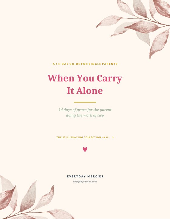 Cover of When You Carry It Alone, a 14-day devotional guide