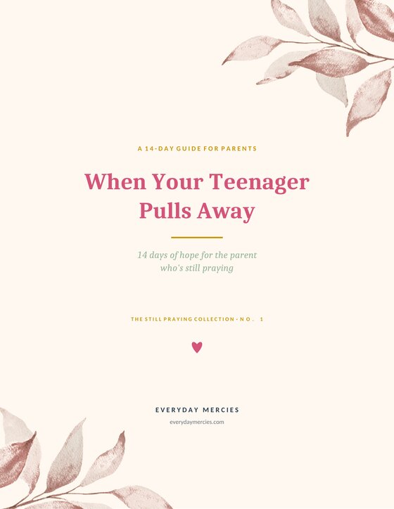 Cover of When Your Teenager Pulls Away, a 14-day devotional guide